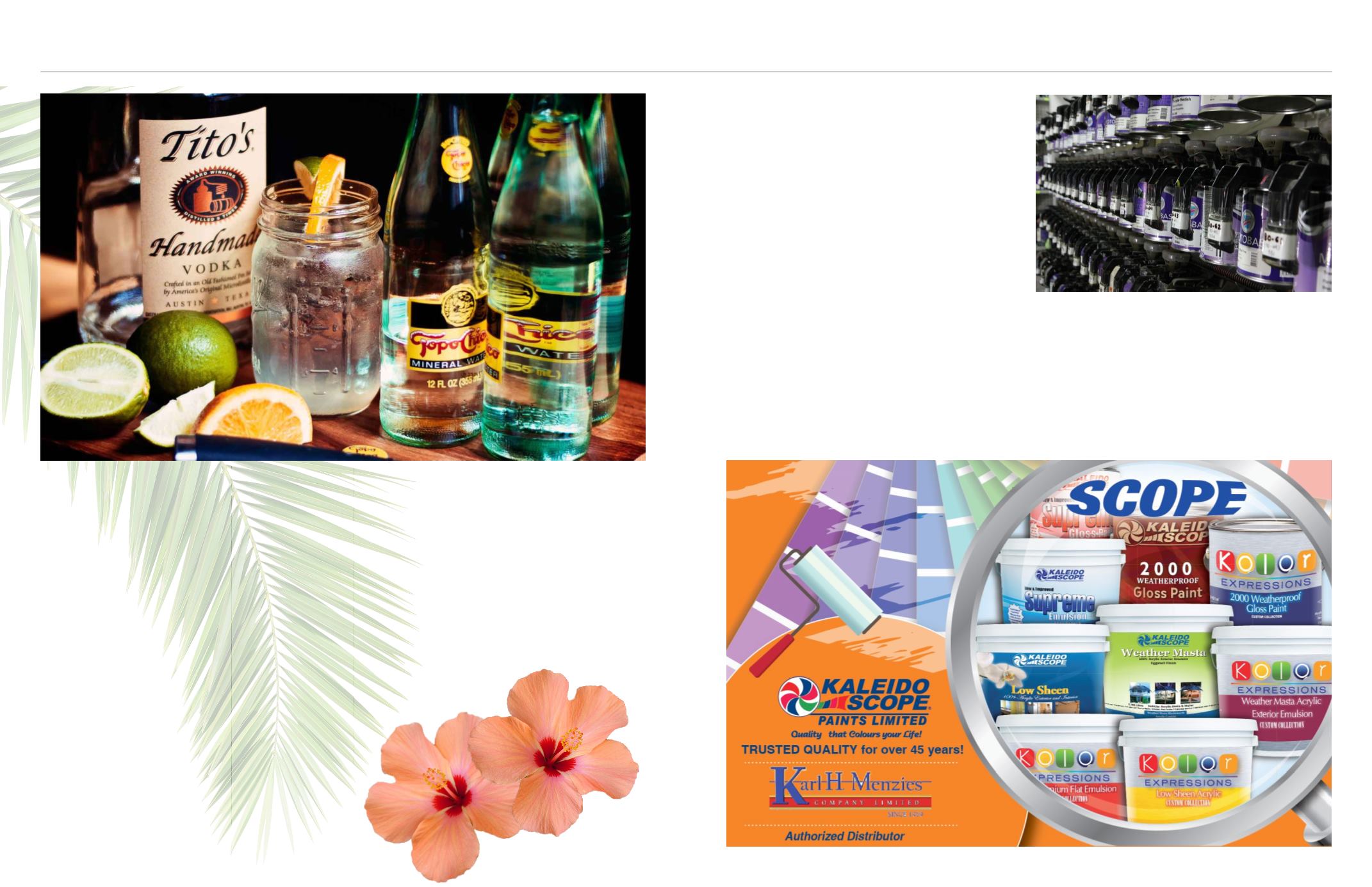 Page Background